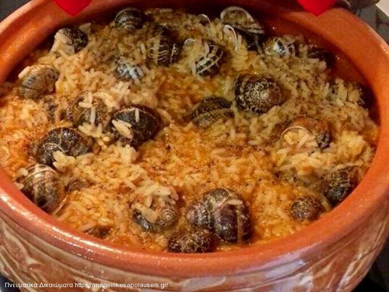 ΧΟΧΛΙΟΙ ΜΕ ΡΥΖΙ