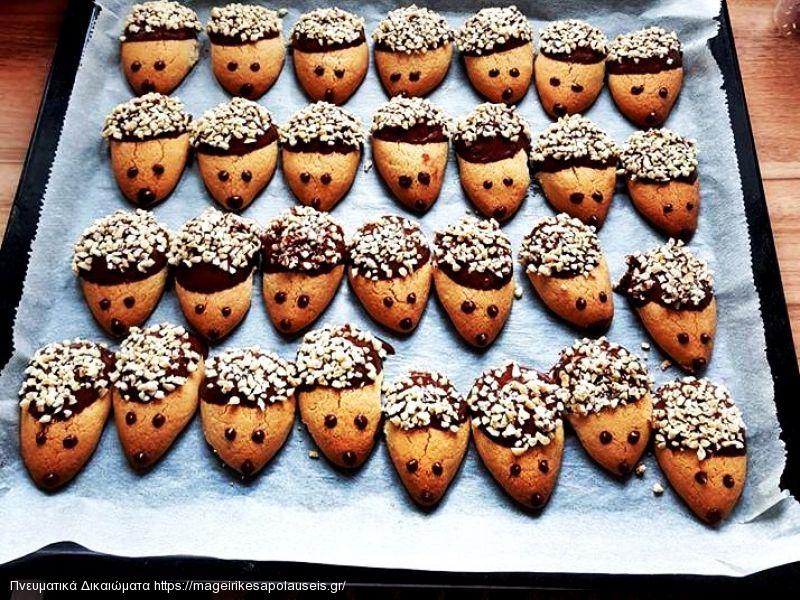 Μπισκοτα σκαντζοχειρακια 