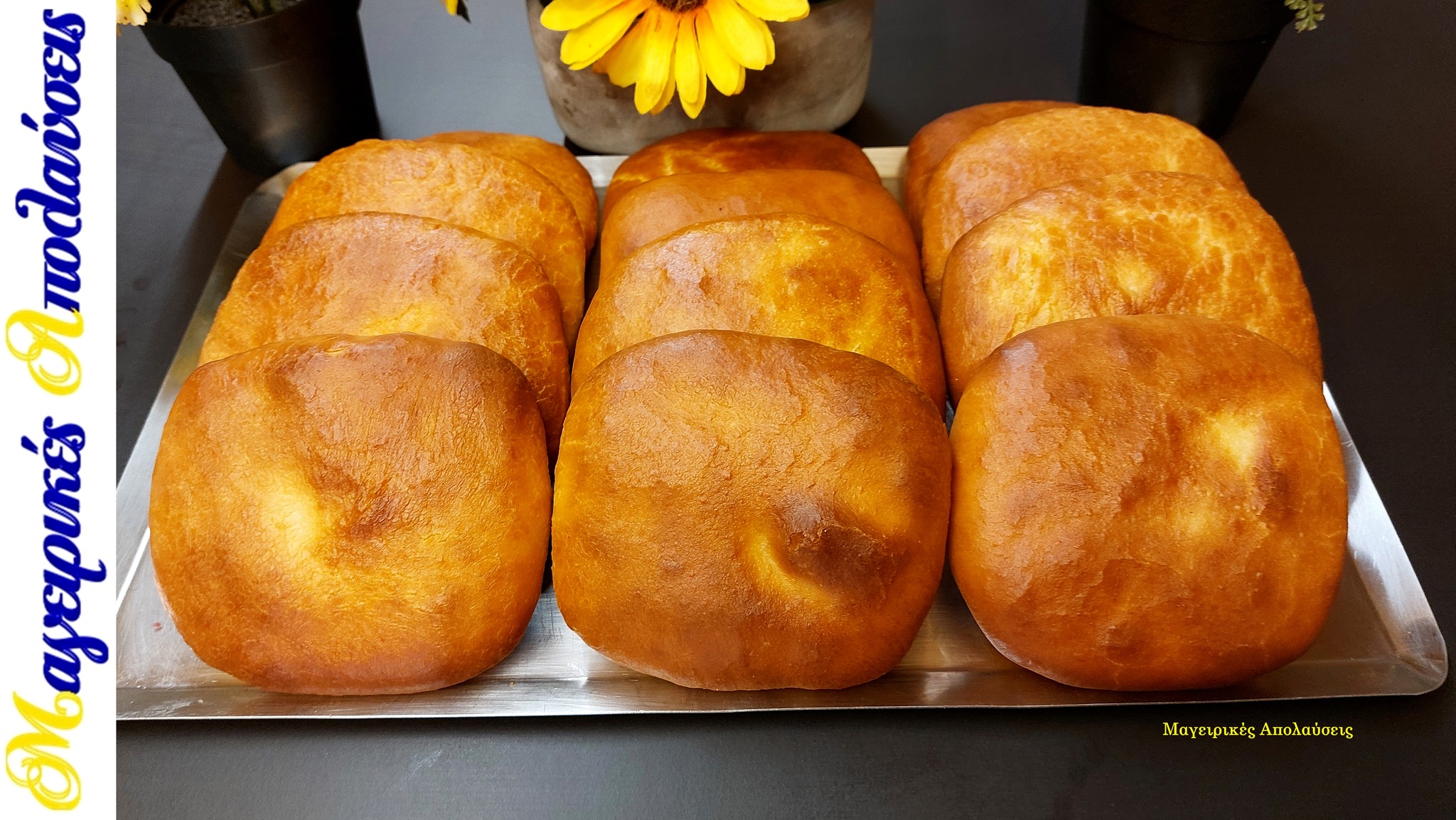 444166186 10224811876429464 2578638068900422531 n