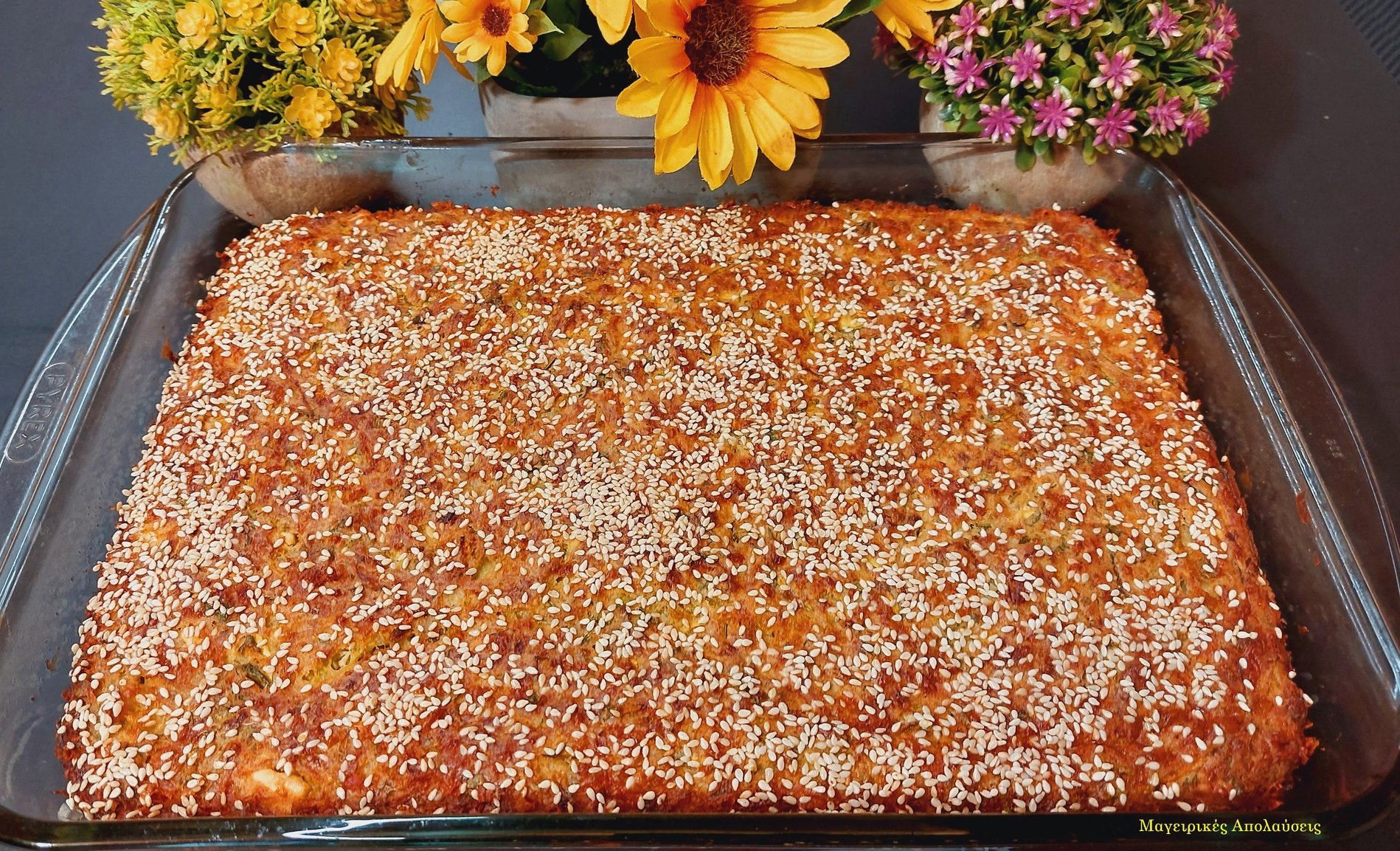 448406363 10224908373481830 1554746525196194273 n