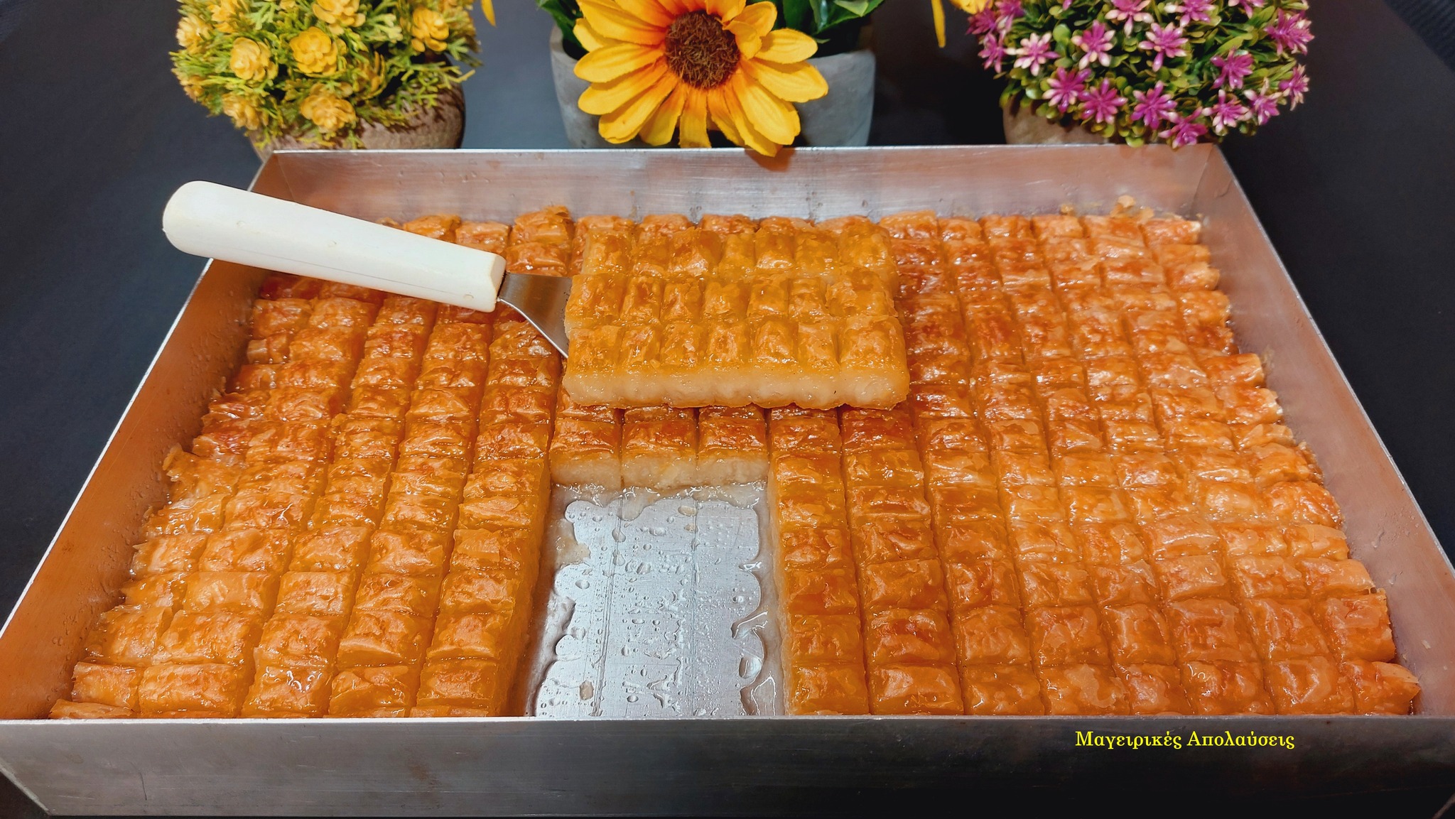 454028853 10225283972311566 2272141279040037033 n