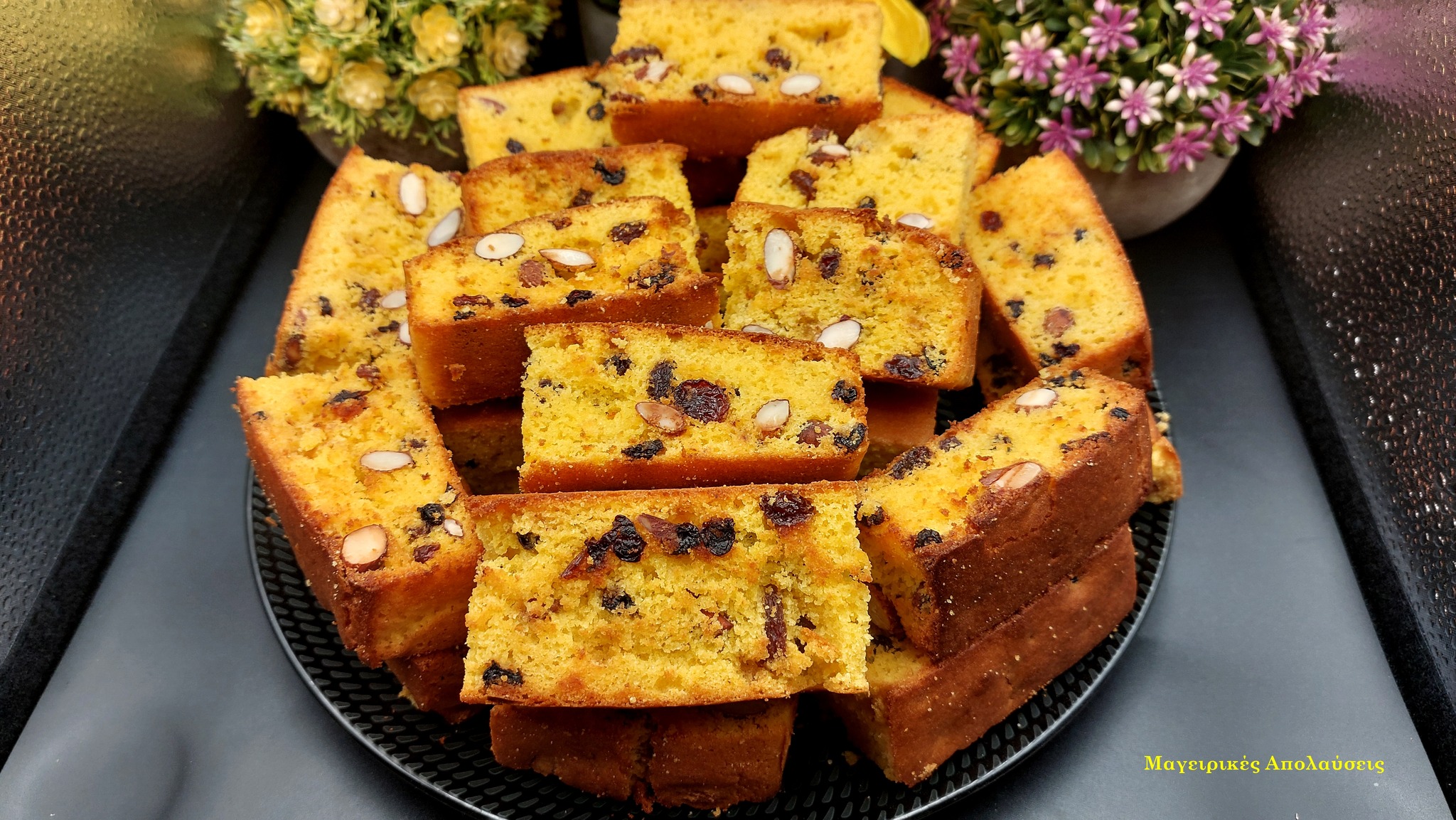 461090111 10225841500729428 3861659396311398819 n