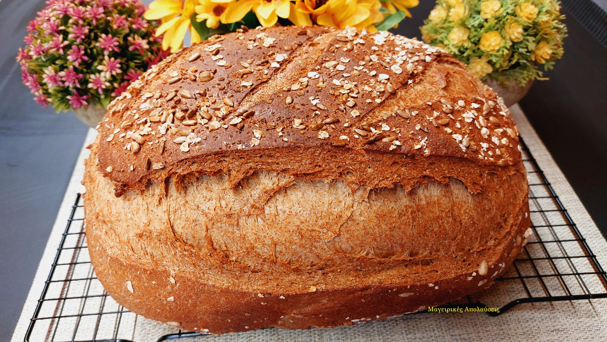 462447238 10225993500729333 7238177174209071809 n