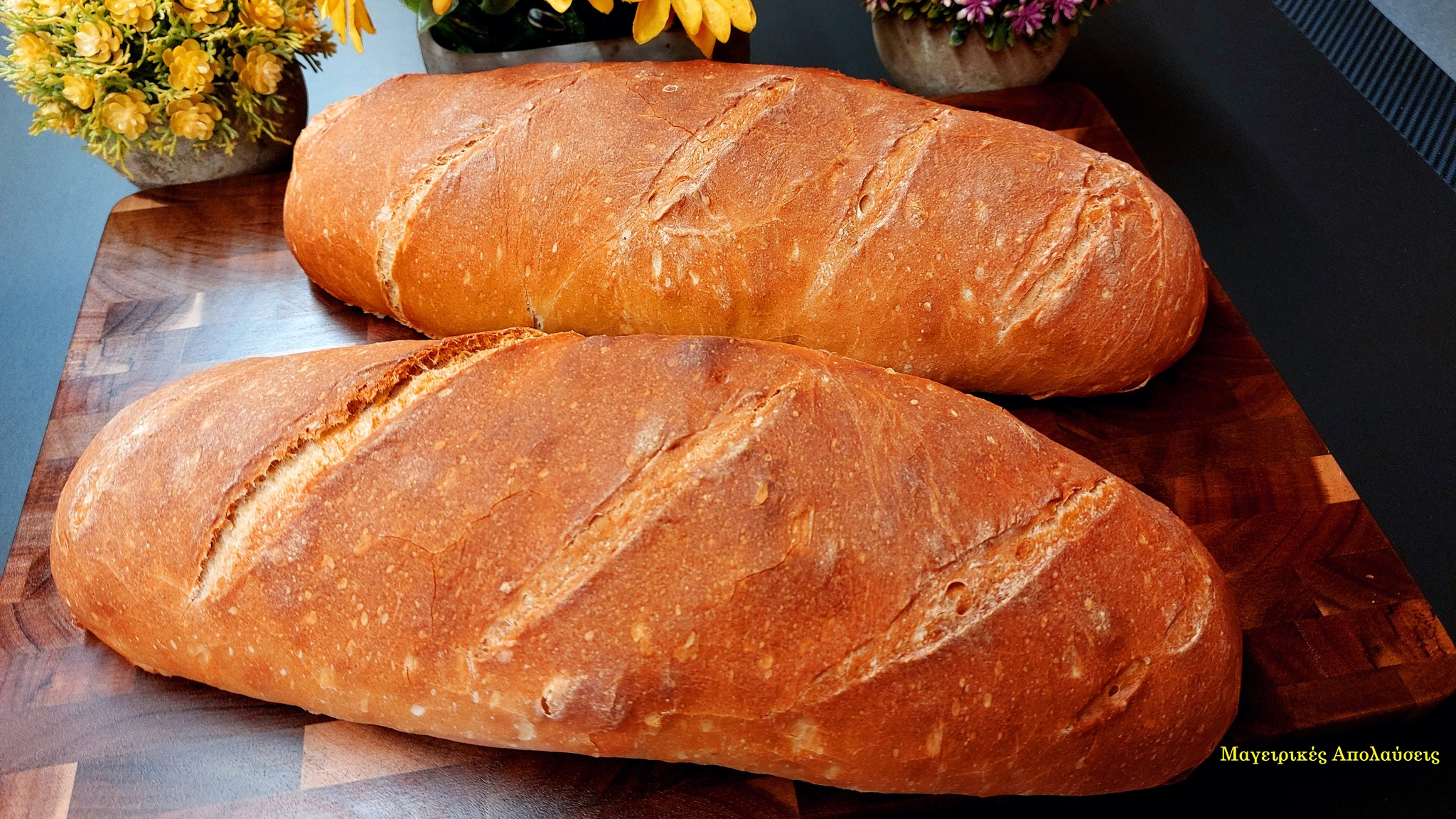 464421204 10226248178376115 5098833843955228250 n